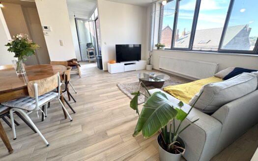 Duplex neuf, avec terrasses et place de parking sécurisé.