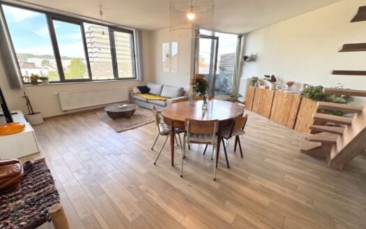 Duplex neuf, avec terrasses et place de parking sécurisé.